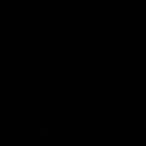 Meet your Posher, Chase